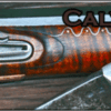 Calvary Longrifles