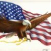Eagle Outfitters