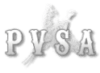 Pioneer Valley Sportsman's Association